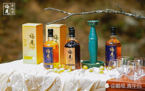 酒精飲料與脫醇酒 從傳統(tǒng)到現(xiàn)代的演變