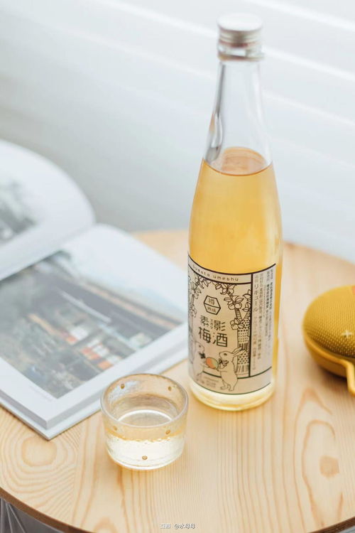 微醺時刻，甜入心扉 少女心高顏值小甜酒居家指南